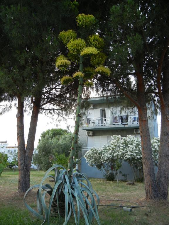 Pension Lakis Prinos  Exterior photo